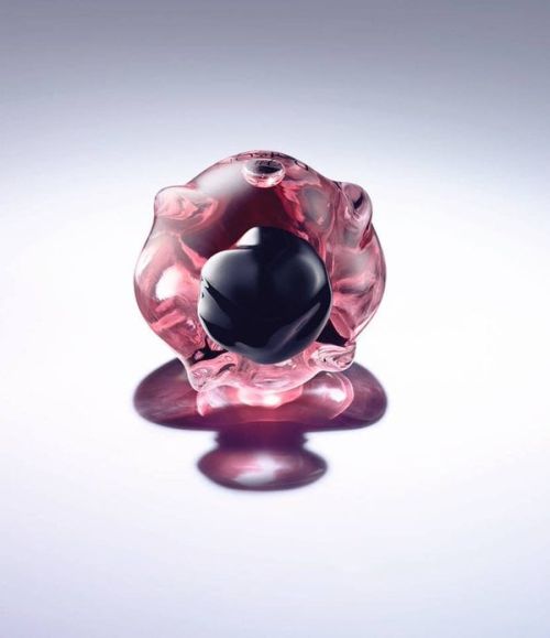 Studio shot of a perfume bottle with a pink glass exterior and a black cap, placed on a glossy surface with a gradient background.