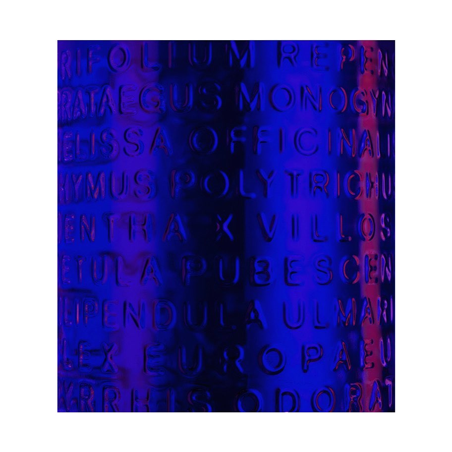 Abstract background featuring various botanical names in an embossed, dark blue color palette with subtle lighting and texture.