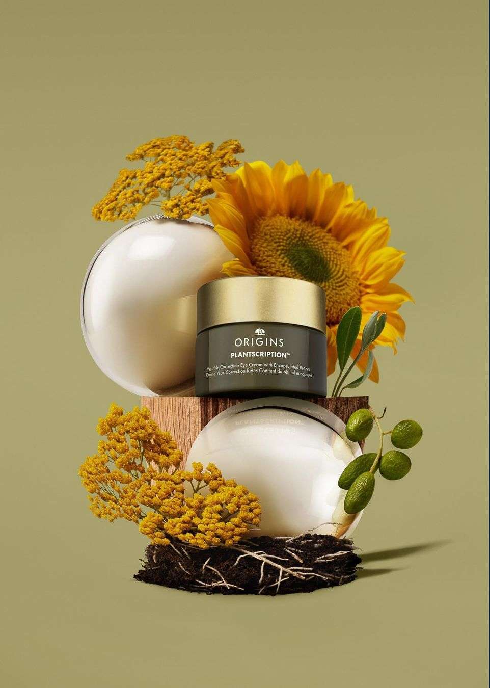 Origins Plantscription anti-aging eye cream on wooden block with yellow flowers, white orbs, and roots against a light green background.