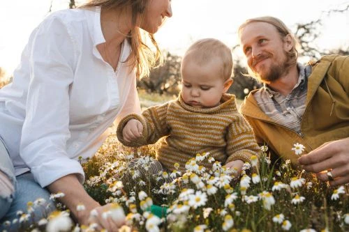 A close-up shot of a baby with parents in a field of white flowers, bathed in warm sunlight. Serene family moment outdoors.