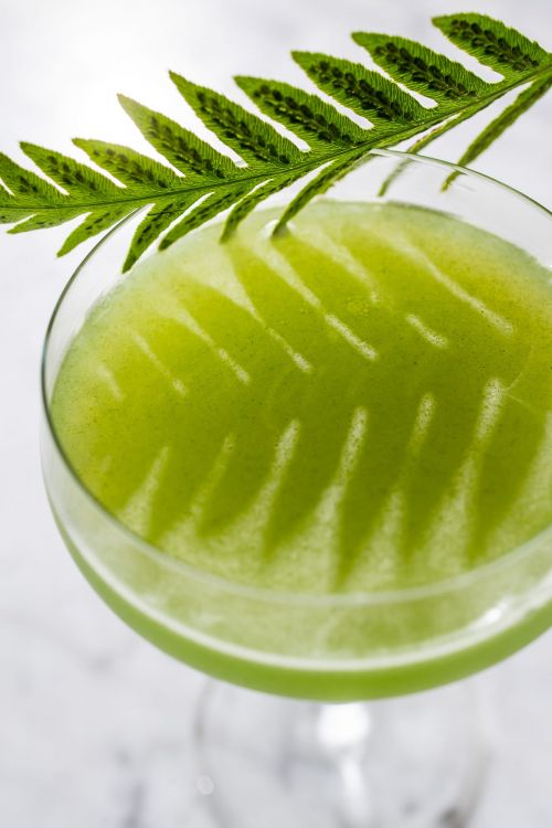 Overhead shot of vibrant green cocktail in glass with fern leaf garnish, set against a bright, neutral background with soft lighting.