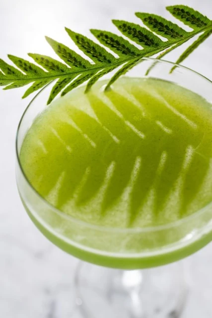Overhead shot of vibrant green cocktail in glass with fern leaf garnish, set against a bright, neutral background with soft lighting.