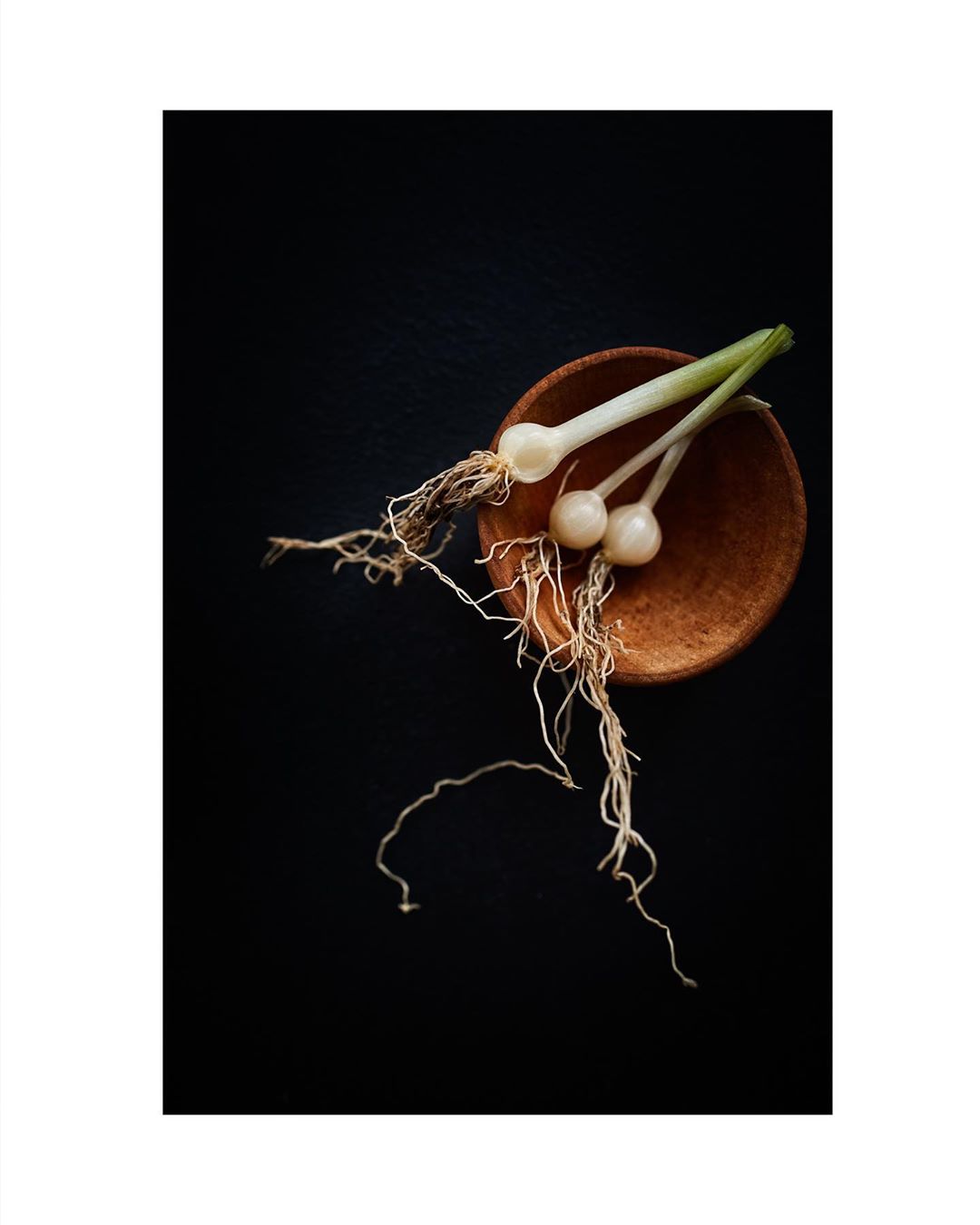 Still life studio shot of green onions in a small brown bowl against a dark background, creating a fresh, minimalist composition.