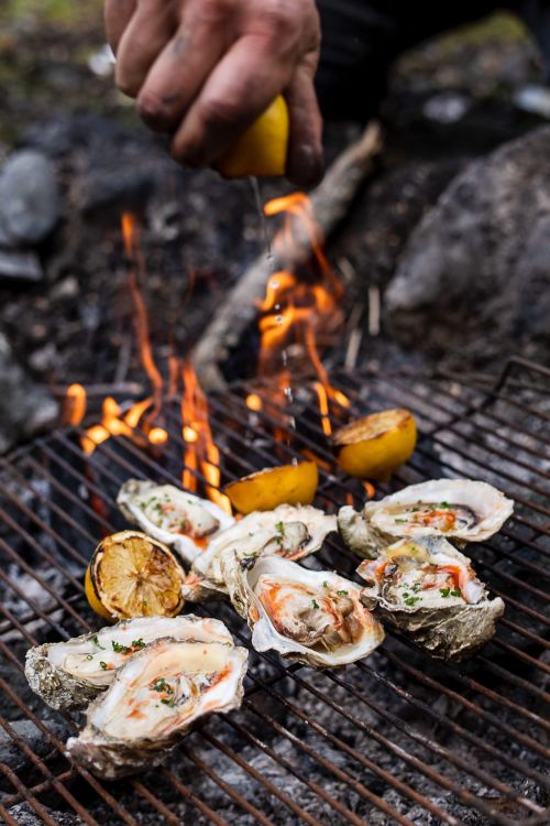 Oysters grilling with lemon, featuring a hand squeezing lemon juice over the seafood. The grill is set over a fire outdoors.