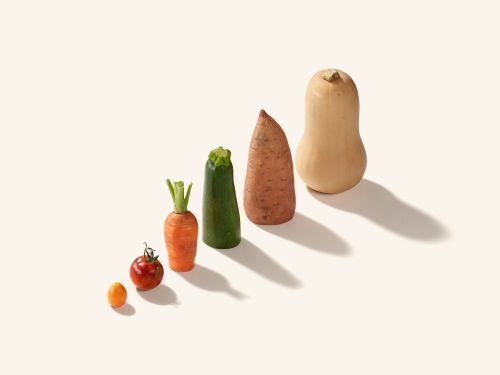 Five vegetables, including tomatoes, carrots, zucchini, sweet potato, and butternut squash, are arranged in a row in a photo studio.