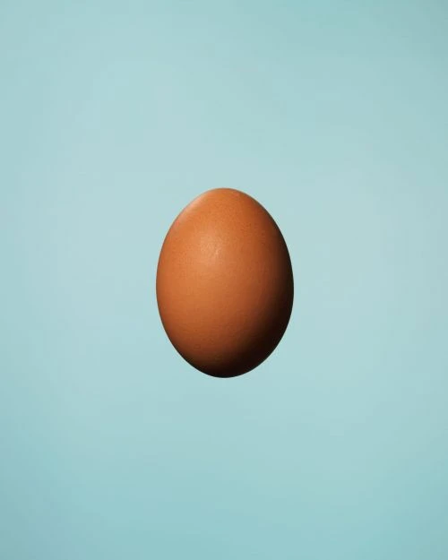 Close-up studio shot of a single, brown chicken egg against a plain light blue background, minimal studio food photography.