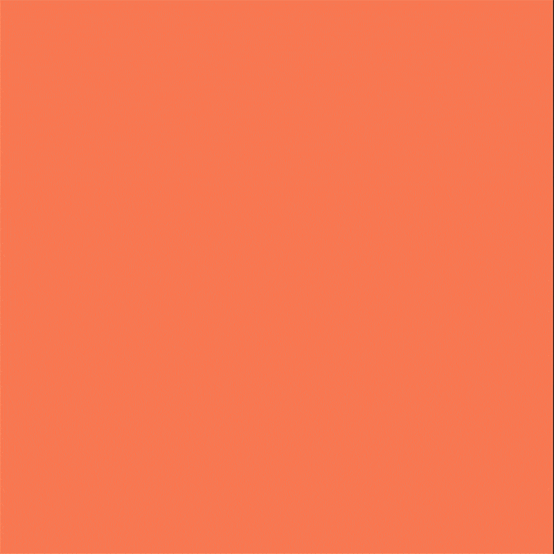 Solid shade of coral color fills the frame, creating a simple abstract background for design or creative projects.