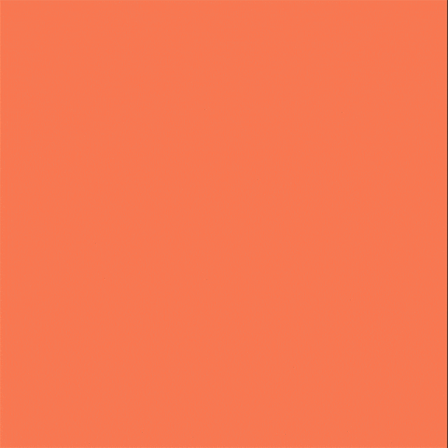 Solid shade of coral color fills the frame, creating a simple abstract background for design or creative projects.