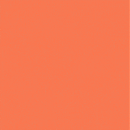 Solid shade of coral color fills the frame, creating a simple abstract background for design or creative projects.
