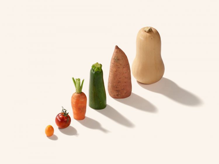 Line of fresh vegetables including tomatoes, carrots, zucchini, sweet potato, and butternut squash, arranged on a white surface.