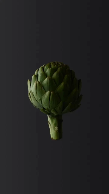 Close-up still life shot of a green artichoke on a dark background with a smooth texture and dramatic lighting.