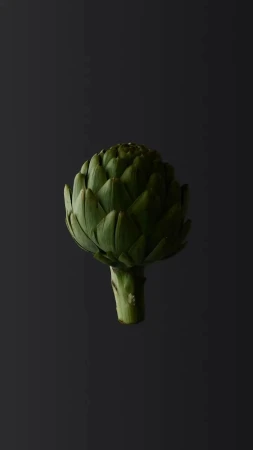 Close-up still life shot of a green artichoke on a dark background with a smooth texture and dramatic lighting.