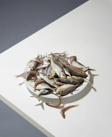 A pile of small dried fish on a white plate resting on an angled white table against a grey wall.