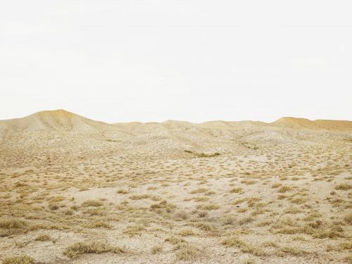 Panoramic landscape of arid desert terrain with rolling hills, low-lying vegetation, and a clear sky. The scene evokes a sense of solitude.