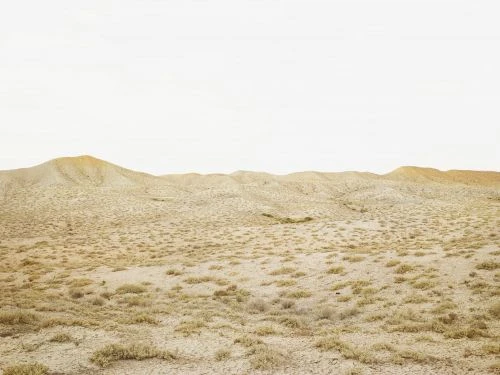 Panoramic landscape of arid desert terrain with rolling hills, low-lying vegetation, and a clear sky. The scene evokes a sense of solitude.