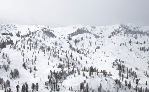 Snowy mountain range covered in evergreen trees under an overcast sky, creating a serene winter landscape.