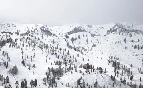 Snowy mountain range covered in evergreen trees under an overcast sky, creating a serene winter landscape.