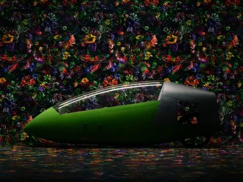 Unique green vehicle with a transparent roof stands inside with a dark floral pattern wall and a reflective patterned floor.