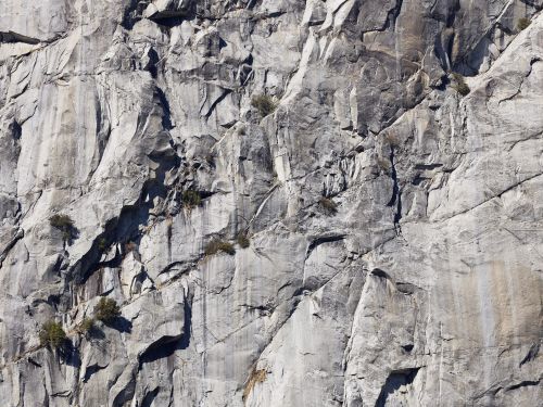 Detailed close-up of a gray rock wall with slight green vegetation in crevices and ridges, casting dark shadows in natural daylight.