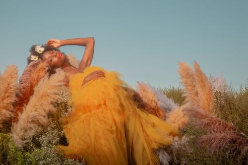 Dark-skinned woman in yellow tulle dress poses in a field with pampas grass under a blue sky, accented by white flowers in her hair.