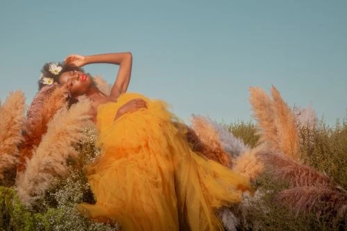 Dark-skinned woman in yellow tulle dress poses in a field with pampas grass under a blue sky, accented by white flowers in her hair.