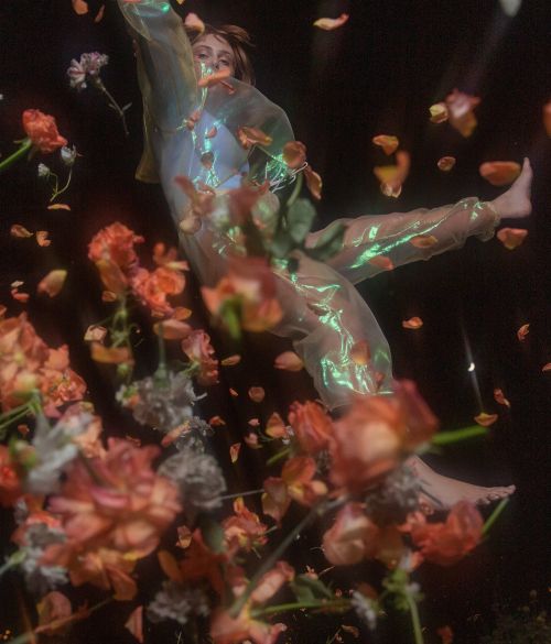 An adult female in a translucent outfit suspended in the air, surrounded by loose flower petals against a dark background.
