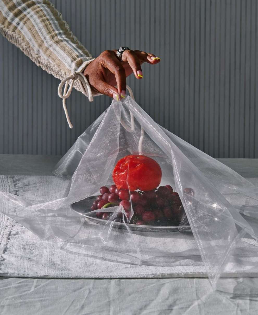 Still life featuring red grapes and tomato on a plate, covered by a sheer cloth, with a hand holding the edge of the cloth, in a studio.