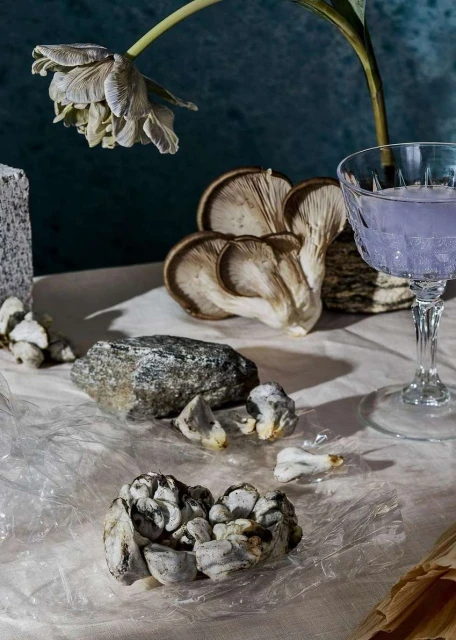 Still life photograph featuring oyster mushrooms, a tulip, rocks, and a purple drink in a glass against a mottled blue background.