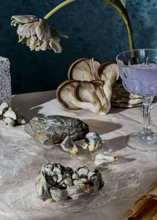 Still life photograph featuring oyster mushrooms, a tulip, rocks, and a purple drink in a glass against a mottled blue background.