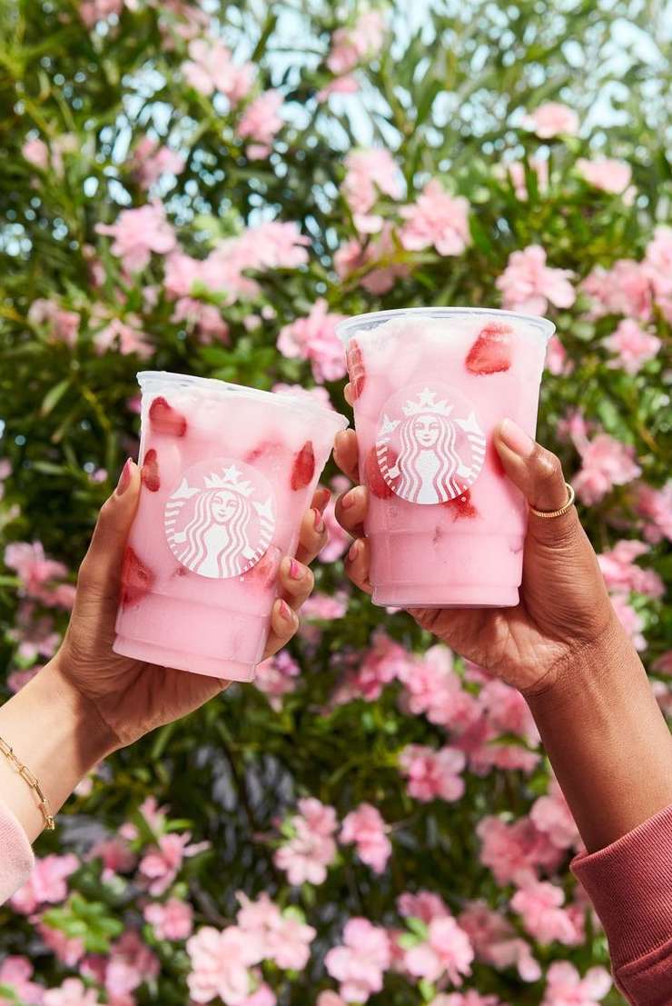 Two people hold up pink Starbucks Refreshers with strawberries, set against a backdrop of vibrant pink flowers and lush green leaves.