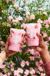 Two hands holding clear plastic cups filled with pink iced drinks featuring strawberry pieces against pink flowers
