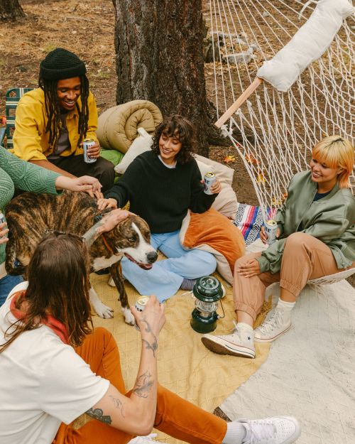 Group of six young adults and a dog gathering in a forest setting with a hammock, blankets, pillows, and a green camping lantern.