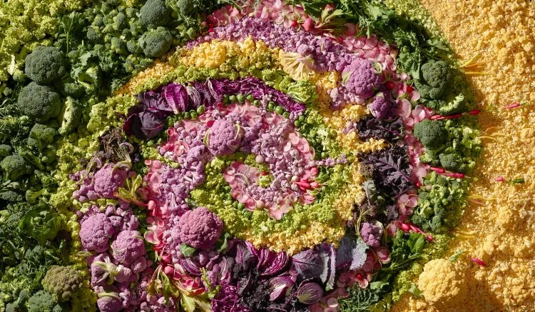 Overhead view of a colourful spiral pattern made from fresh vegetables including broccoli, cauliflower, radishes, and cabbage.