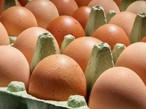 Close-up of brown eggs in a green cardboard carton, creating a textured and patterned effect with warm, natural colors.