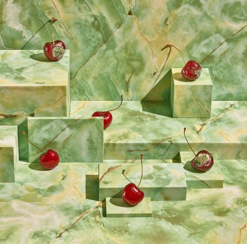 Studio shot of cherries with stems, some with mold, arranged on geometric platforms in a green marbled pattern, creating an artistic food still life.