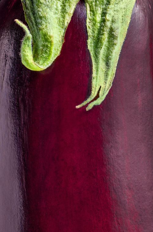 Macro shot of a dark purple eggplant featuring a glossy skin and green stem with small thorns, in a studio lighting environment.