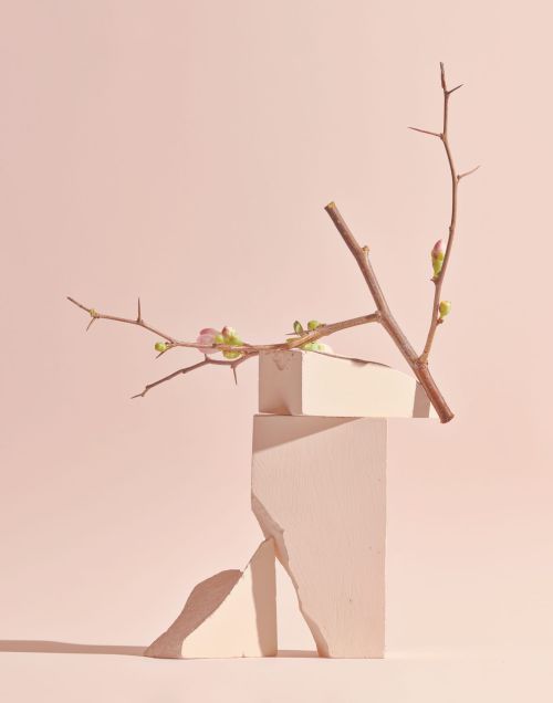 Abstract still life with a bare branch and budding flowers arranged atop geometric blocks against a pale pink background.