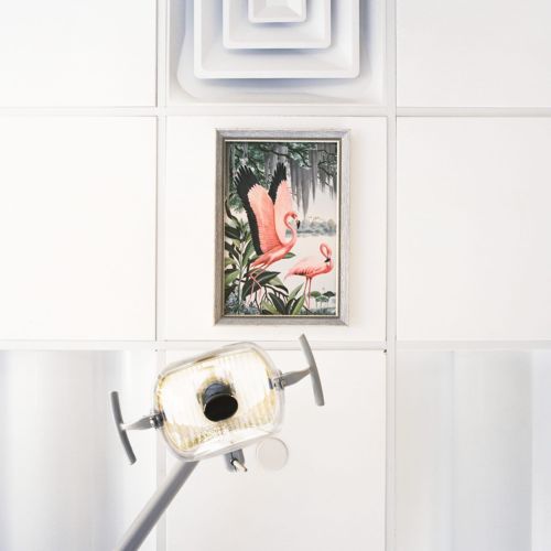 Interior of a dental office with a dental lamp and a framed painting of flamingos hanging on a white-tiled wall.