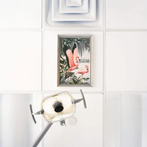 Interior of a dental office with a dental lamp and a framed painting of flamingos hanging on a white-tiled wall.
