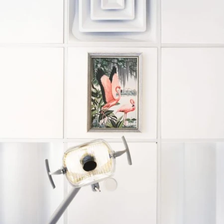 Interior of a dental office with a dental lamp and a framed painting of flamingos hanging on a white-tiled wall.