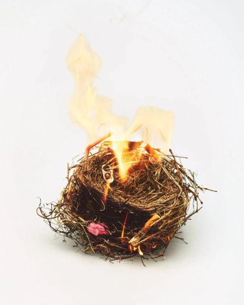 Bird's nest on fire against a white background. The nest is made of twigs and small pieces of debris, with yellow flames coming out.