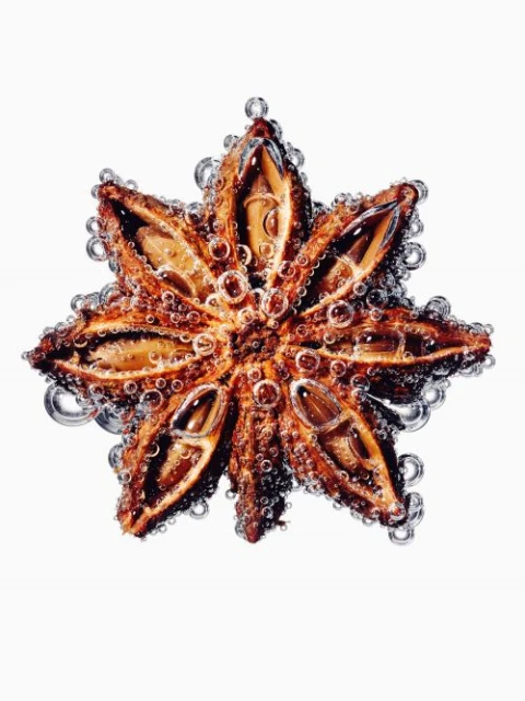 Close-up product shot of a brown star anise pod covered in water droplets against a stark white background, highlighting its texture and detail.
