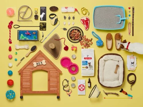 Top-down shot showcasing an assortment of pet supplies against a yellow background, including food, toys, a doghouse, and grooming items.