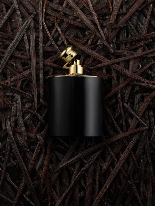 Black and gold perfume bottle showcased against a background of vanilla beans in a studio setting, creating an elegant product shot.