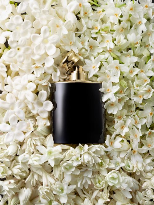 Elevated studio shot of a black perfume bottle with a gold cap, surrounded by white flowers in full bloom, set against a dark background.