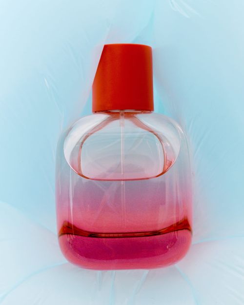 Close-up studio shot of a glass perfume bottle with a red cap and pink liquid against a textured light blue background.