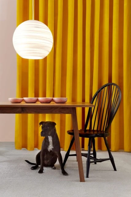 Indoor shot featuring a dog under a table with bowls, a chair, and a spherical pendant light against a yellow curtain backdrop.