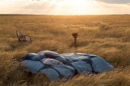 Surreal outdoor scene featuring a bed with pillows and a side table in a field of tall golden grass under a cloudy sky at sunset.
