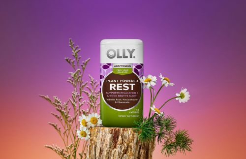 Olly Adaptogens 'Rest' supplement bottle displayed on wood slab, surrounded by chamomile and greenery against purple gradient backdrop.
