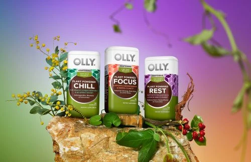 Three Olly supplement containers, 'Chill', 'Focus', and 'Rest', displayed on a rock formation with botanical accents against a gradient background.